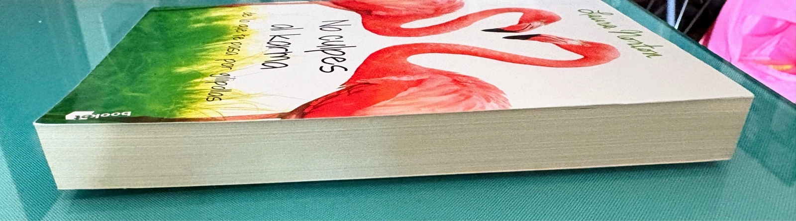 Don't Blame Karma for What Happens to You Because You're an Idiot | Laura Norton | Very Good Condition – photo 3